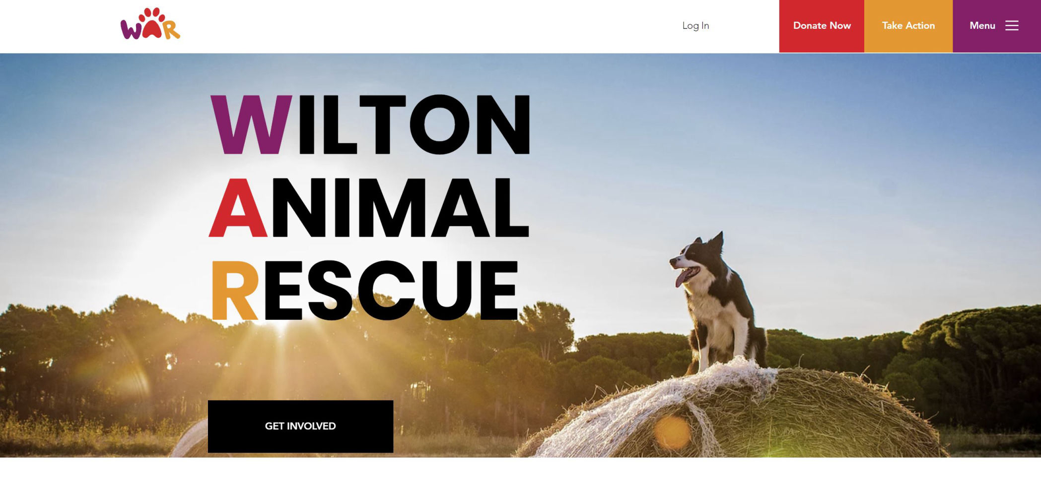 Wilton-Animal-Rescue-Homepage-Preview
