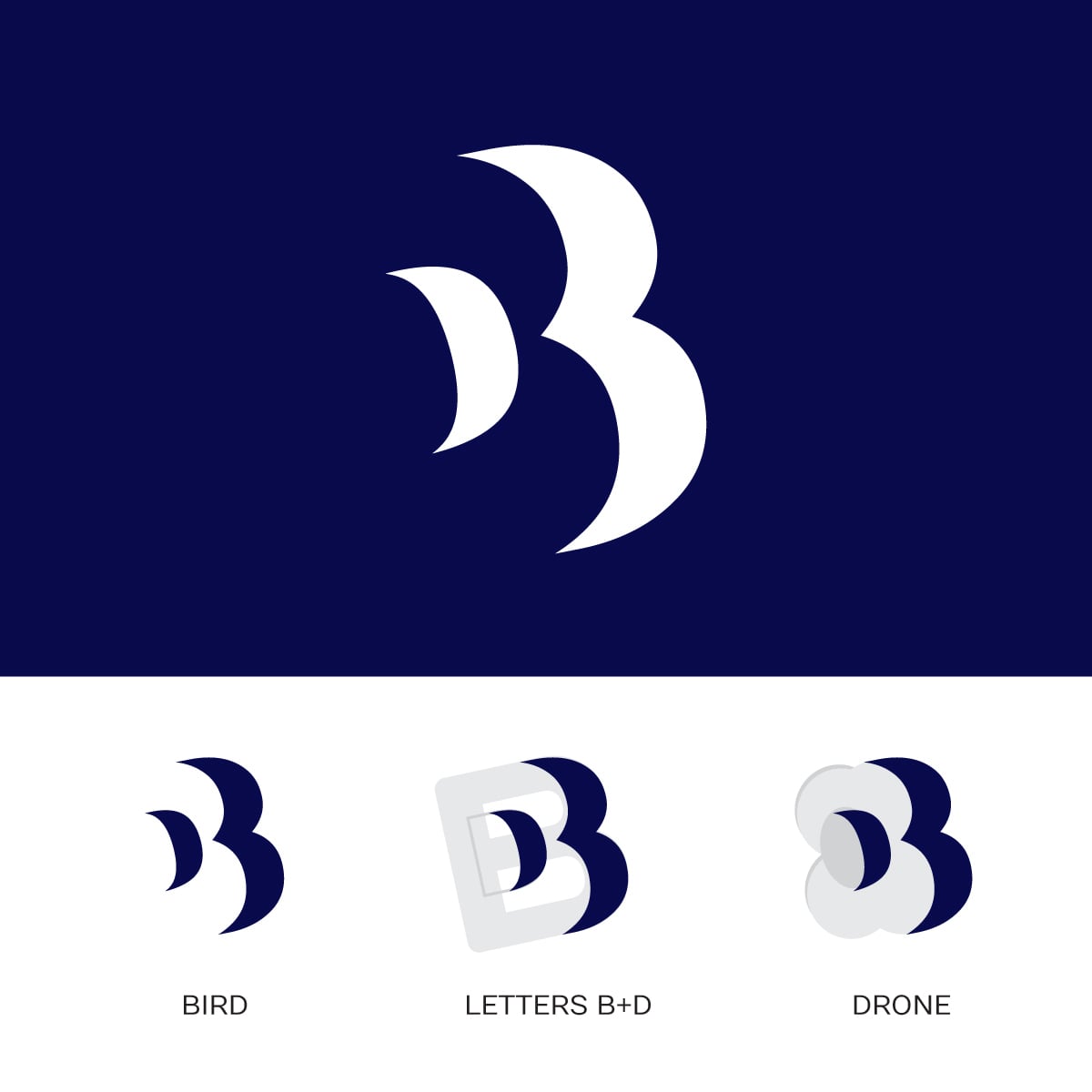 blue-drones-branding